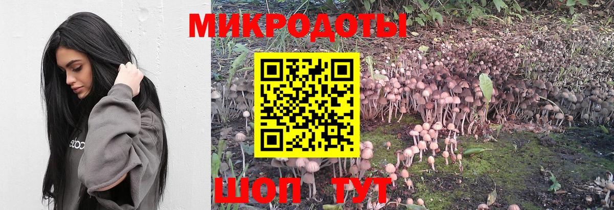 Псилоцибиновые грибы мицелий  Псилоцибиновые грибы GOLDEN TEACHER  Вход с VPN  Шахты 